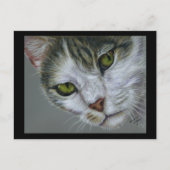 Tara - Cat Art Postkarte (Vorderseite)
