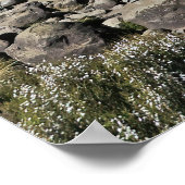 Taranaki Falls Poster (Ecke)