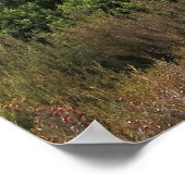 Taranaki Falls Poster (Ecke)