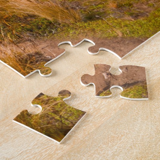 Taranaki Neuseeland Puzzle (Seite)