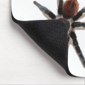 Taranchula Spinnen-Livehaustier Mousepad (Ecke)