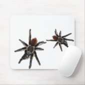 Taranchula Spinnen-Livehaustier Mousepad (Mit Mouse)