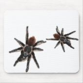 Taranchula Spinnen-Livehaustier Mousepad (Vorne)