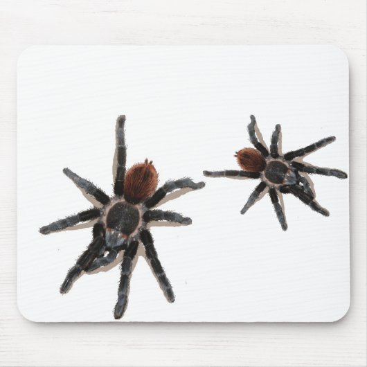 Taranchula Spinnen-Livehaustier Mousepad (Vorne)