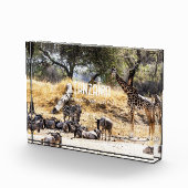 Tarangire National Park Fotoblock (Rechts)