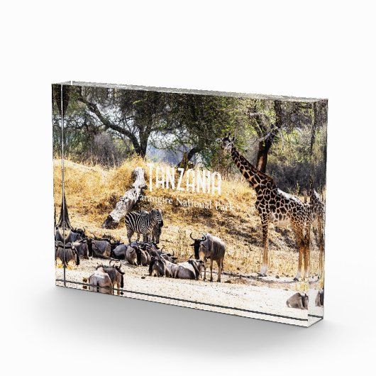 Tarangire National Park Fotoblock (Rechts)