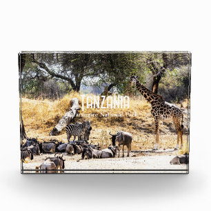 Tarangire-Nationalpark Fotoblock
