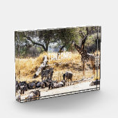 Tarangire-Nationalpark Fotoblock (Links)