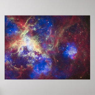 Tarantel-Nebel Poster