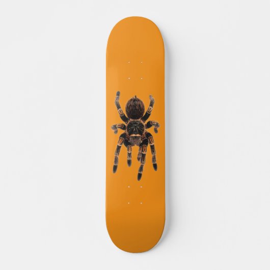 Tarantel orange skateboard (Vorne)