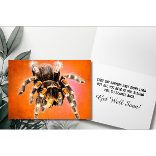 Tarantel-Spinne Gute Besserung Karte