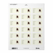 Tarantula Adressaufkleber (Vorne)