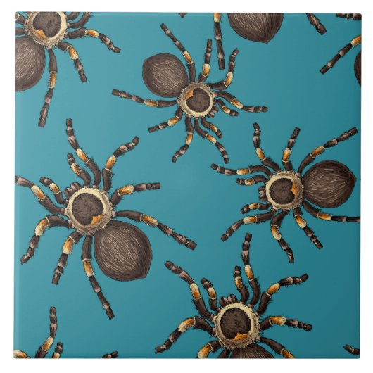Tarantula auf blau fliese (Vorderseite)