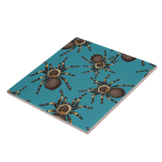 Tarantula auf blau fliese (Seite)