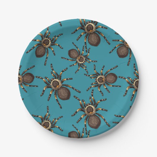 Tarantula auf blau pappteller (Vorderseite)