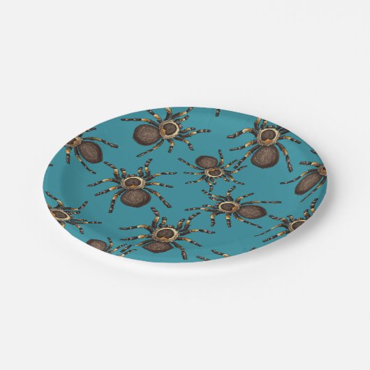 Tarantula auf blau pappteller (Schrägansicht)