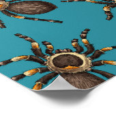 Tarantula auf blau poster (Ecke)