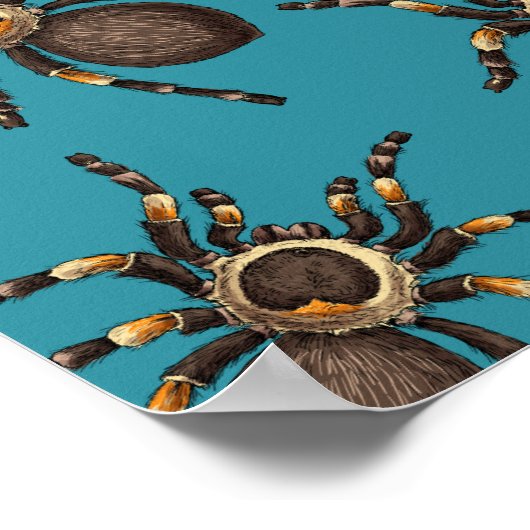 Tarantula auf blau poster (Ecke)