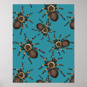 Tarantula auf blau poster