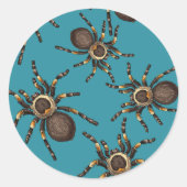 Tarantula auf blau runder aufkleber (Vorderseite)
