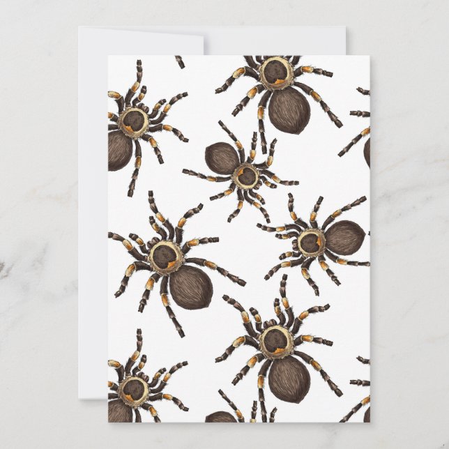 Tarantula auf weiß (Vorderseite)