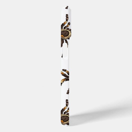 Tarantula auf weiß Case-Mate iPhone hülle (Rückseite / Rechts)