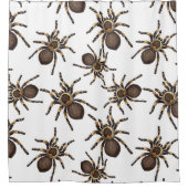Tarantula auf weiß duschvorhang (Vorderseite)