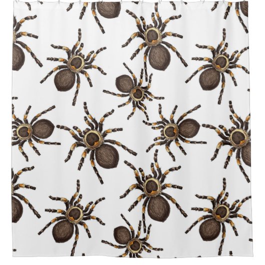 Tarantula auf weiß duschvorhang (Vorderseite)