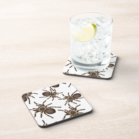 Tarantula auf weiß getränkeuntersetzer (Rechte Seite)