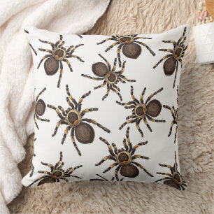 Tarantula auf weiß kissen