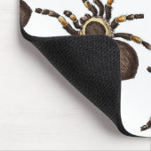 Tarantula auf weiß mousepad (Ecke)