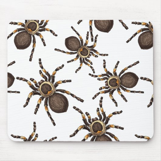 Tarantula auf weiß mousepad (Vorne)