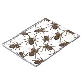 Tarantula auf weiß notizblock (Linke Seite)