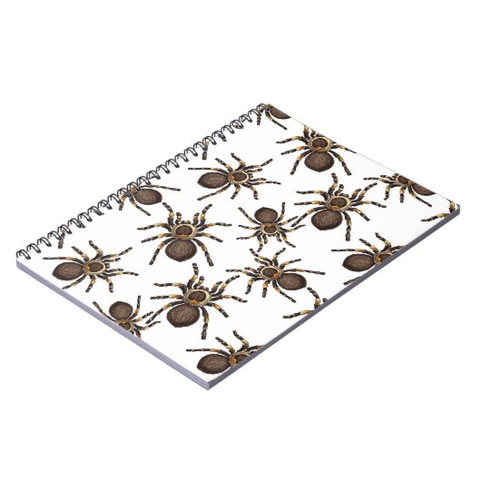 Tarantula auf weiß notizblock (Linke Seite)