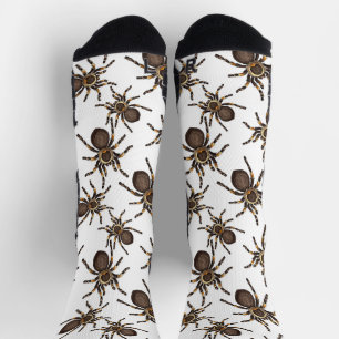 Tarantula auf weiß socken