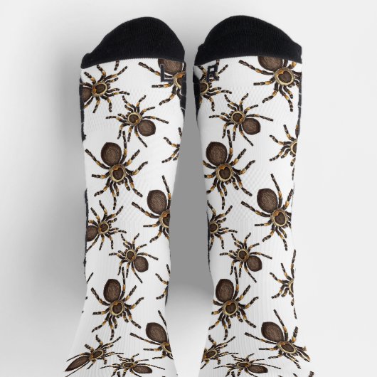 Tarantula auf weiß socken (Oben)