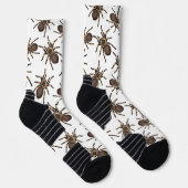 Tarantula auf weiß socken (Rechts)