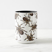 Tarantula auf weiß tasse (Zentrum)