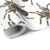Tarantula auf weißem Packpapier (Rolleneckpunkt)