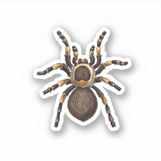 Tarantula Aufkleber (Vorderseite)
