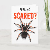 Tarantula Birthday Card Karte (Vorderseite)