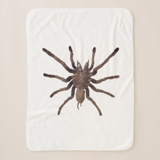 Tarantula Blanket Sherpadecke (Vorderseite)