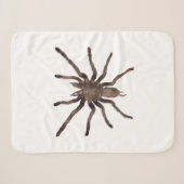Tarantula Blanket Sherpadecke (Vorderseite (Horizontal))
