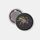 Tarantula, blau/rot/orange/schwarz magnet (Vorderseite/Rückseite)