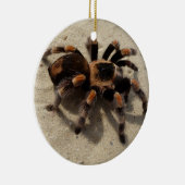Tarantula brachypelma rotes Knie giftig Keramik Ornament (Rechts)