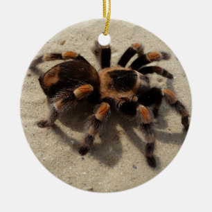 Tarantula brachypelma rotes Knie giftig Keramik Ornament
