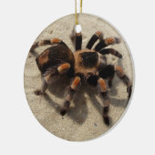 Tarantula brachypelma rotes Knie giftig Keramik Ornament (Links)