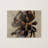 Tarantula brachypelma rotes Knie giftig Puzzle (Horizontal)