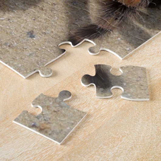 Tarantula brachypelma rotes Knie giftig Puzzle (Seite)