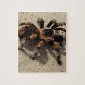 Tarantula brachypelma rotes Knie giftig Puzzle (Vertikal)